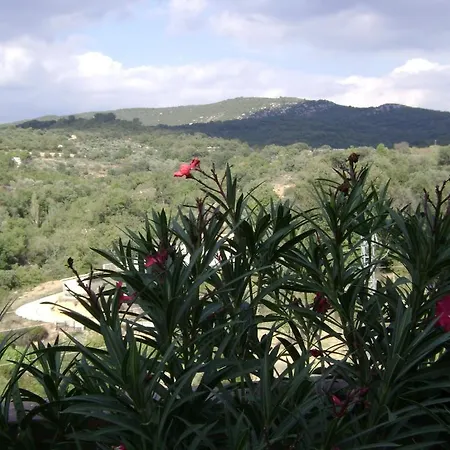 La Era De Casa Capellan * Colungo